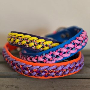 Colliers pour chien en biothane et paracorde - Confection Amarok