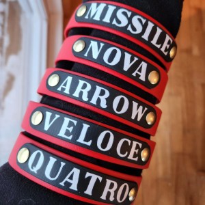 Colliers pour chien avec noms - Confection Amarok