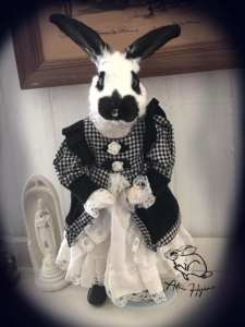 Poupine noire et blanche - Création Taxidermie Adri Hyène