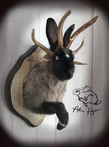 Jackalope de Cathy - Création Taxidermie Adri Hyene