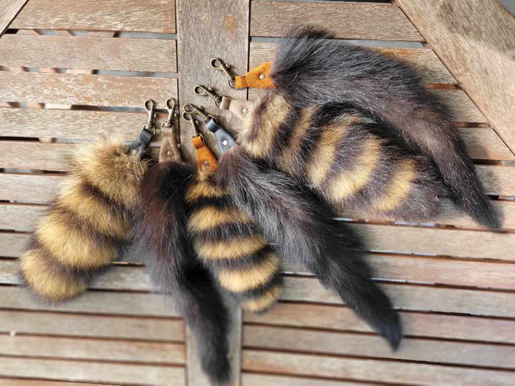 Queues - Petite Vaness